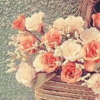 适合四十几岁人微信头像