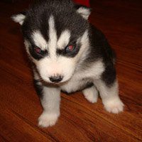 鄙视头像男帅气