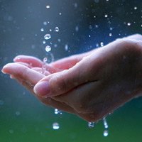 雨中头像图片大全