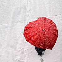 雨中头像图片大全