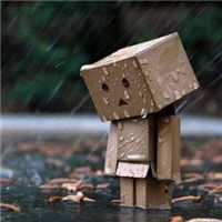 雨中头像图片大全