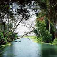 风水头像图片大全