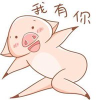 骑猪情侣头像