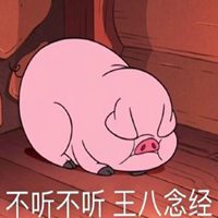 不听不听王八念经头像