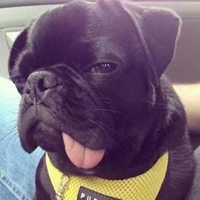 不开心的图片可爱