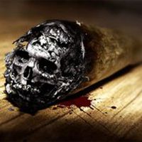 不戒烟不换头像图片