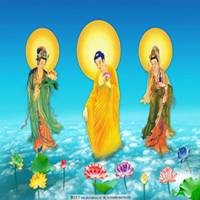 佛祖头像图片大全