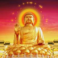 佛祖头像图片大全