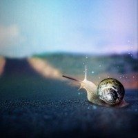 冰冷忧伤孤独的头像