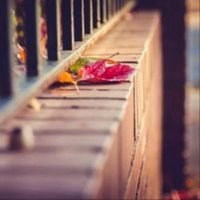 冰冷忧伤孤独的头像