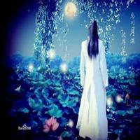 古装唯美背影女生头像