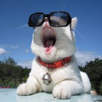 哈哈大笑头像图片