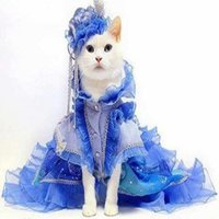 处女座头像男真人