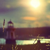 大自然头像图片大全