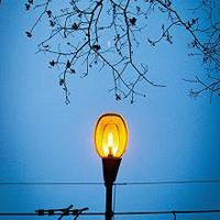 大自然头像图片大全