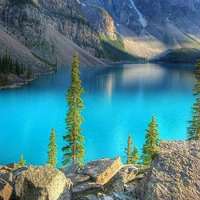 大自然头像图片大全