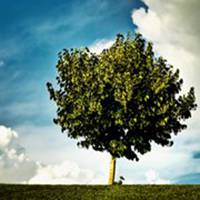 大自然头像图片大全