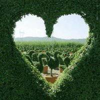 大自然头像图片大全