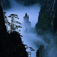 大自然头像图片大全