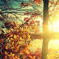 大自然头像图片大全