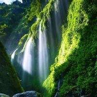 大自然头像图片大全