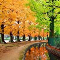 大自然头像图片大全