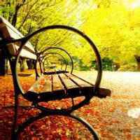 大自然头像图片大全