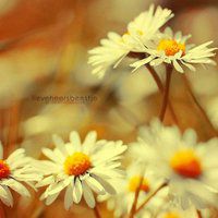 大自然微信头像图片