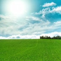 大自然微信头像图片