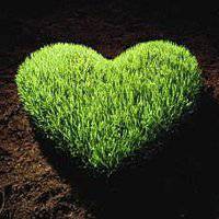 大自然微信头像图片