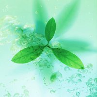 大自然微信头像图片