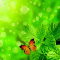 大自然微信头像图片