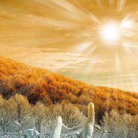 大自然微信头像图片