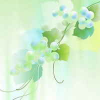 大自然微信头像图片