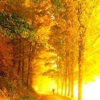 大自然微信头像图片