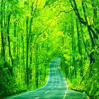 大自然微信头像图片