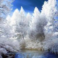 大自然微信头像图片