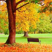 大自然风景头像