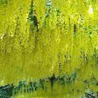 大自然风景头像