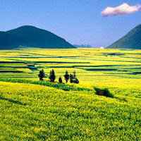 大自然风景头像