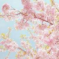 大自然风景头像