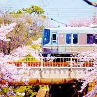 大自然风景头像