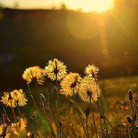 大自然风景头像