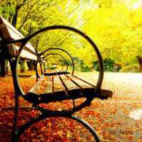 大自然风景头像