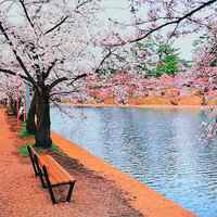 大自然风景头像