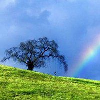 大自然风景头像