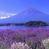 大自然风景头像