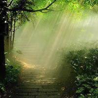 大自然风景头像