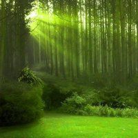 大自然风景头像