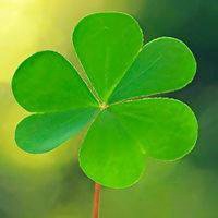 大自然风景头像